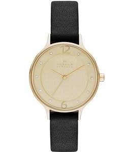 SKAGEN SKW2266