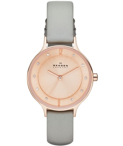 SKAGEN SKW2148