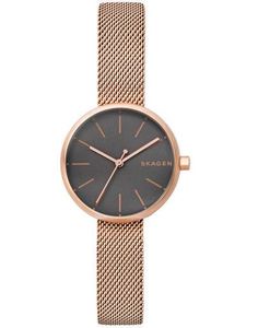 SKAGEN SKW2645