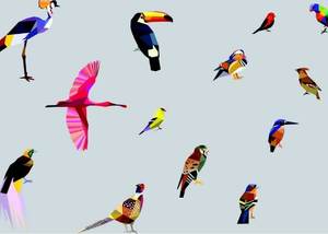 טפט מעוצב ציפורים על רקע סגול בהיר