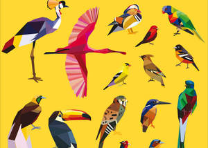 טפט מעוצב עם ציפורים על רקע צהוב