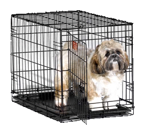 כלוב אילוף רשת 137