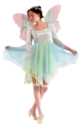 טינקרבל מבוגרים