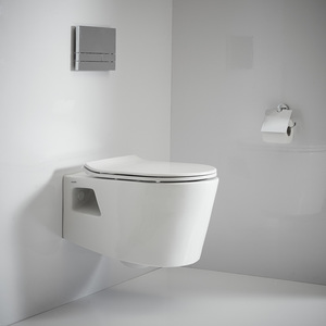 אסלה תלויה כולל מושב הידראולי נשלף