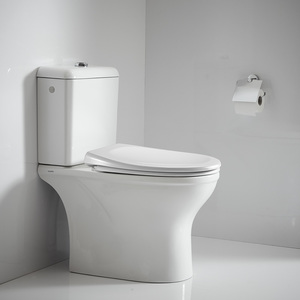 אסלת מונובלוק מעוצבת כולל מושב שקט ומנגנון