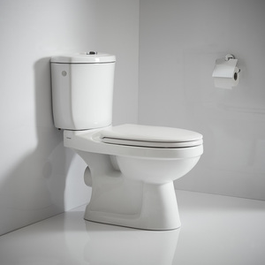 אסלת מונובלוק מעוצבת 