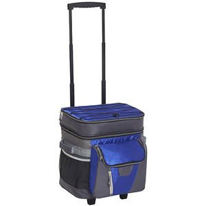 צידנית על גלגלים