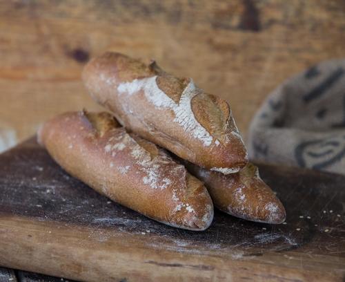 לחמניות איטלקיות 70% חיטה מלאה