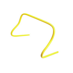 משוכות נוער 