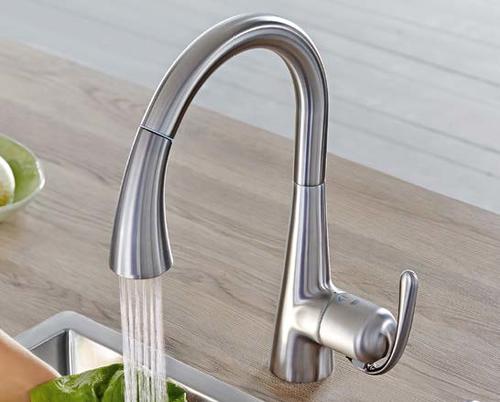 000 553 32 ברז פרח למטבח עם פיה נשלפת, 2 מצבים