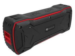 רמקול בלוטות