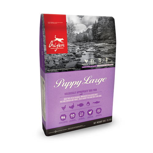 אוריג'ין גורים מגזע גדול 6 ק