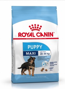 רויאל קנין Royal canin לכלב-מקסי פאפי-15 ק"ג