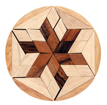 שושנת המדבר