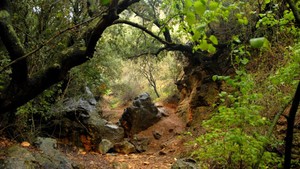 שביל ישראל מקטע מס