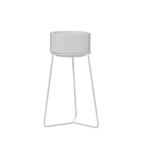 אדנית מתחברת למעמד  - לבן