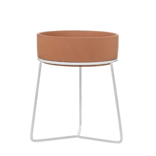 אדנית מתחברת למעמד  - אדום