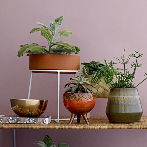 אדנית מתחברת למעמד  - אדום