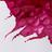 דיו לציור PURPLE WINSOR&NEWTON