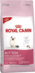 יבש לגורי חתולים 2 ק"ג Royal Canin רויאל קנין