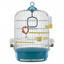 רגינה לבן biopet