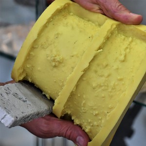 פוליאוריטן H74-20