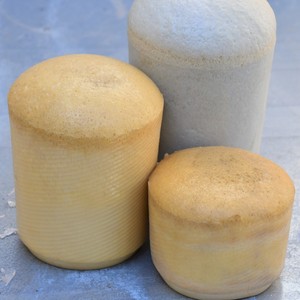 פוליאוריטן ספוג HG-85/100