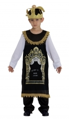  תחפושת ספר תורה 