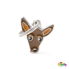 תג שם לכלב - פינצ