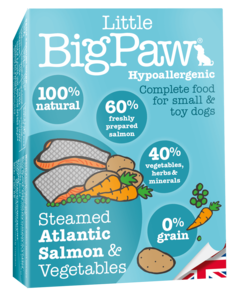 מעדנים | ביג פאו - פטה סלמון 85 גרם