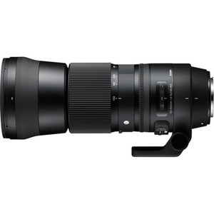 Sigma 150-600mm F5-6.3 DG OS HSM C - שפע