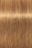 צבע לשיער שוורצקופף 7-460 Igora Royal צבעי שיער Schwarzkopf