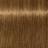 צבע לשיער שוורצקופף 9-460 Igora Royal צבעי שיער Schwarzkopf