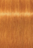 צבע לשיער שוורצקופף 9-7 SCHWARZKOPF IGORA ROYAL צבעי שיער Schwarzkopf