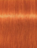 צבע לשיער שוורצקופף 8-77 SCHWARZKOPF IGORA ROYAL צבעי שיער Schwarzkopf