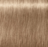 צבע לשיער שוורצקופף 8-140 Schwarzkopf Igora Royal ABSOLUTES צבעי שיער Schwarzkopf
