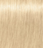 צבע לשיער שוורצקופף 12-0 Igora Royal צבעי שיער Schwarzkopf