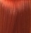 צבע לשיער מקצועי 77-43 WELLA RED VIBRANT,בלונד בינוני בגוון אדום זהב צבעי שיער Wella 
