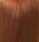 צבע לשיער מקצועי 6-34 WELLA RED VIBRANT, בלונד כהה בגוון זהב אדום צבעי שיער Wella 