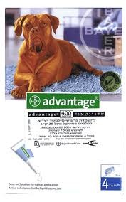אדוונטג' 400 כלב מעל 25 ק"ג Advantage