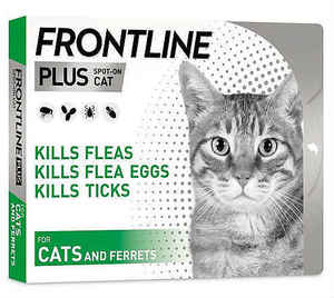 פרונטליין פלוס לחתול