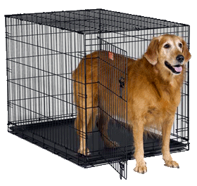 כלוב אילוף רשת 109