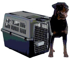 כלוב הטסה 100+גלגלים