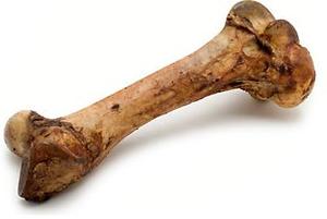 עצם פורקי מעושנת