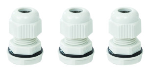 כניסת אנטיגרון