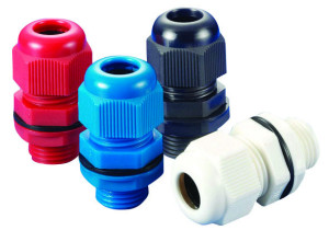 כניסת אנטיגרון