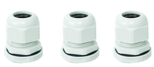 כניסת אנטיגרון