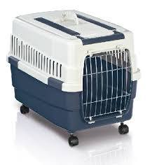 כלוב נשיאה קים 60 עם גלגלים וידית אימק