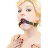 מחסום פה גאג