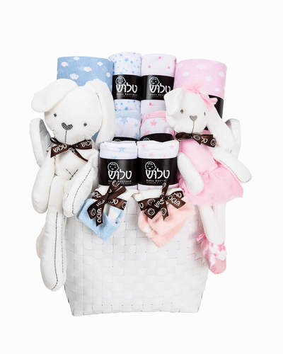 מארז לידה לתאומים "צילי וגילי"